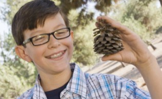 Camp pine cone